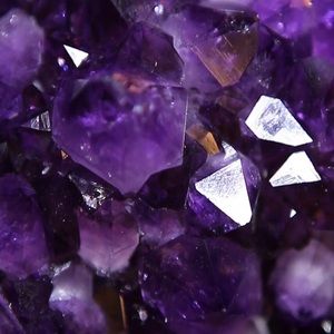 Meet your Posher, Chase